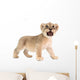 baby lion isolated on white background Wall Decal