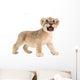 baby lion isolated on white background Wall Decal
