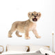 baby lion isolated on white background Wall Decal