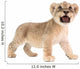baby lion isolated on white background Wall Decal