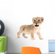 baby lion isolated on white background Wall Decal