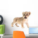 baby lion isolated on white background Wall Decal