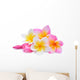 Multi-colored Frangipani Plumeria Flowers Wall Decal