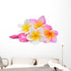 Multi-colored Frangipani Plumeria Flowers Wall Decal