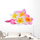 Multi-colored Frangipani Plumeria Flowers Wall Decal