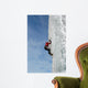 Ice Climbing Wall Mural