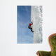 Ice Climbing Wall Mural