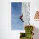 Ice Climbing Wall Mural