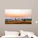 Sunrise in savanah meadow Wall Mural