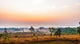 Sunrise in savanah meadow Wall Mural