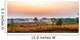 Sunrise in savanah meadow Wall Mural