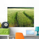 Crop Tracks Wall Decal