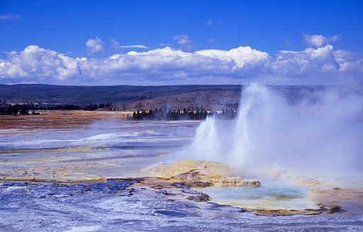 Geyser Wall Decal Design 1