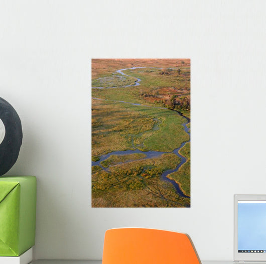 Vue Aerienne You Okavango Wall Decal