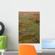 Vue Aerienne You Okavango Wall Decal