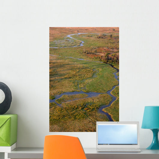 Vue Aerienne You Okavango Wall Decal