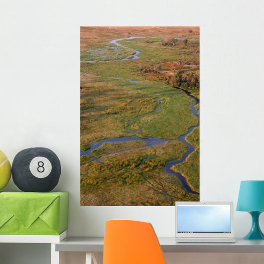 Vue Aerienne You Okavango Wall Decal