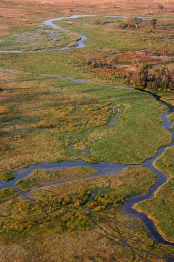 Vue Aerienne You Okavango Wall Decal