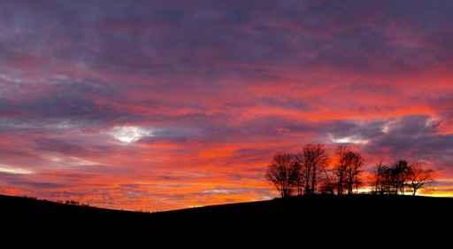 Sunset  Landscape Profile Wall Decal