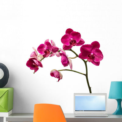 Deep Red Orchid Flowers Wall Decal shown on a wall