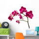Deep Red Orchid Flowers Wall Decal