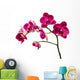Deep Red Orchid Flowers Wall Decal