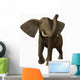 Elephant Wall Decal
