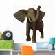 Elephant Wall Decal