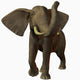 Elephant Wall Decal