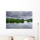 Stormy Lake Scene Wall Decal