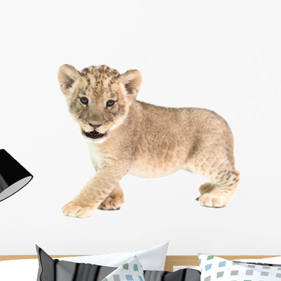 Baby Lion Wall Decal shown on a wall