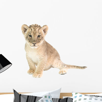 Baby Lion Wall Decal shown on a wall