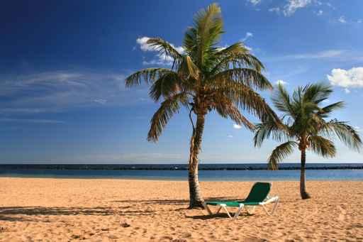 Tropical Beach Wall Decal Design 4