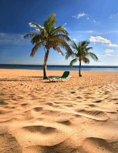 Tropical Beach Wall Decal Design 3