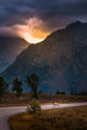 Grand Teton Elk Wall Mural