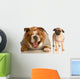 Bulldog Laughing at Pug Puppy Wall Decal