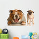 Bulldog Laughing at Pug Puppy Wall Decal