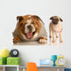 Bulldog Laughing at Pug Puppy Wall Decal