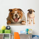 Bulldog Laughing at Pug Puppy Wall Decal