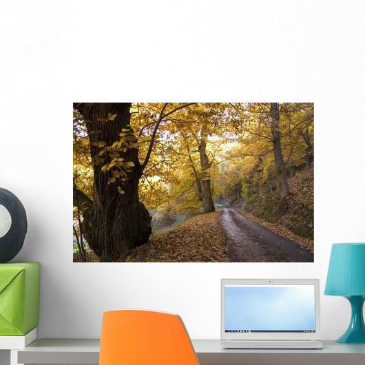 Chestnut Bierzo Wall Decal