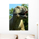 Dino Wall Mural