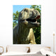 Dino Wall Mural