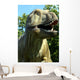 Dino Wall Mural