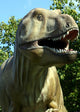 Dino Wall Mural