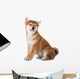 adorable red shiba inu puppy Wall Decal