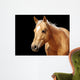 Close-up Golden Palomino Horse Wall Mural