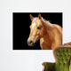 Close-up Golden Palomino Horse Wall Mural