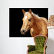 Close-up Golden Palomino Horse Wall Mural