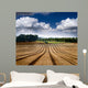 Tractor in a Field Wall Mural