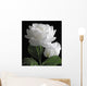 White Rose Wall Mural